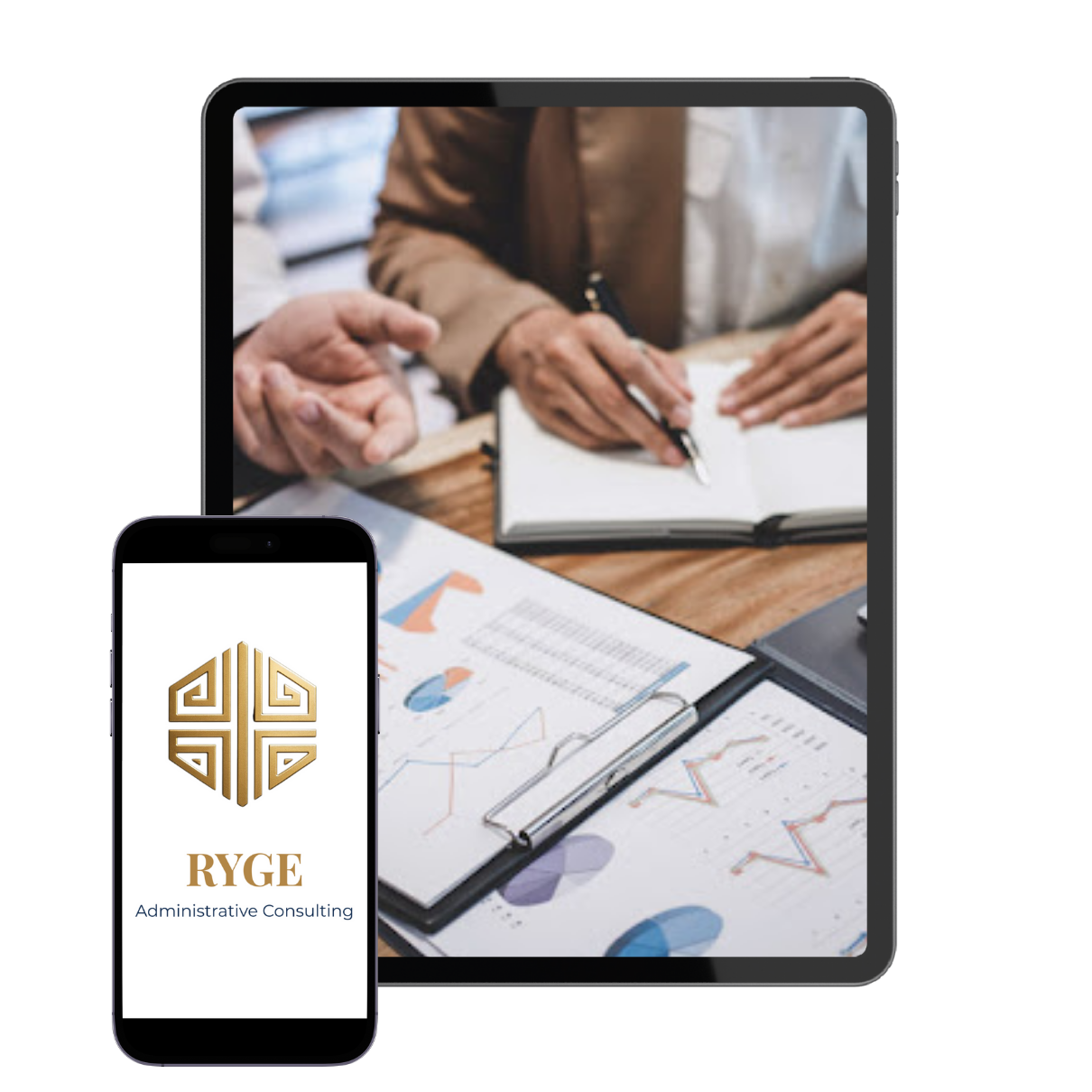 📊 GESTORIA ADMINISTRATIVA